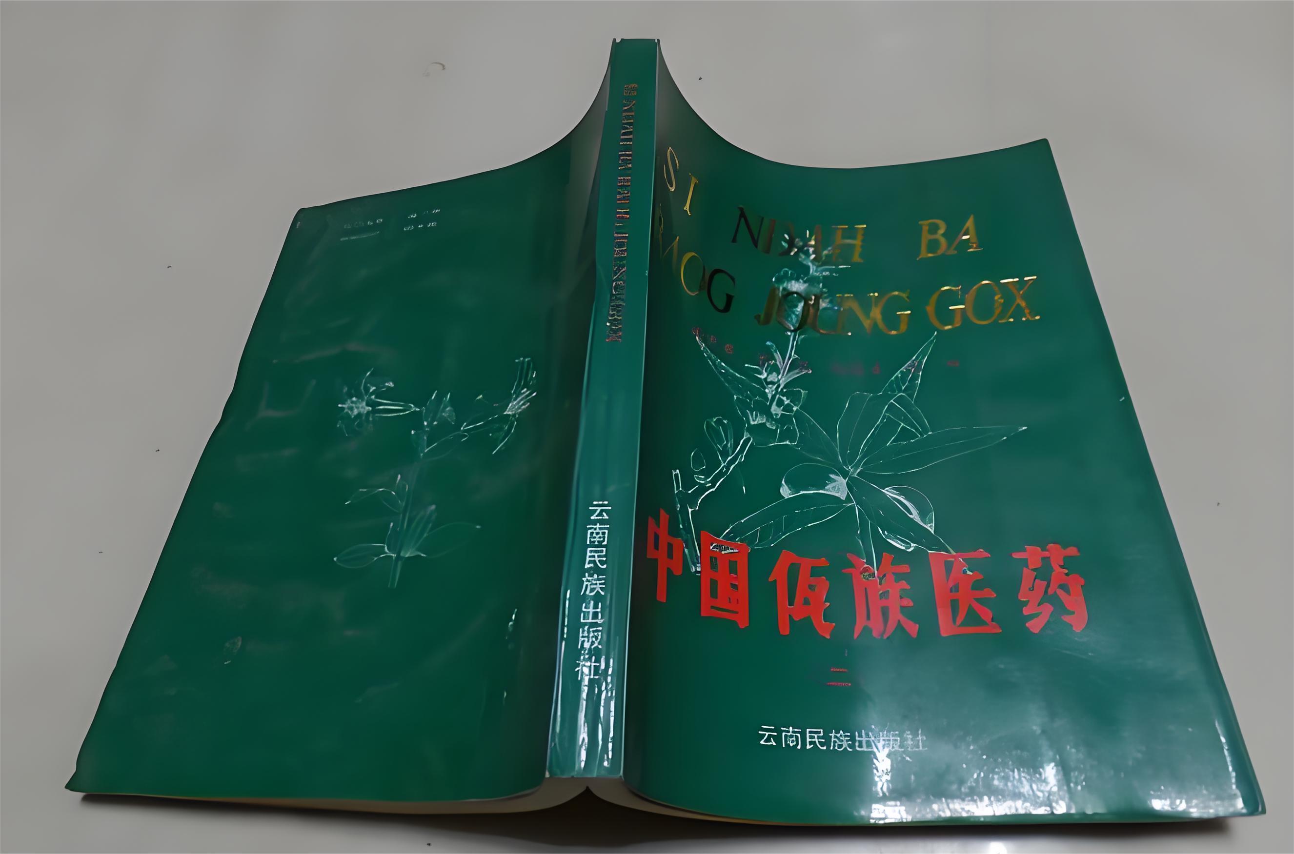 【民族佤醫(yī)藥知多少】第1期 續(xù)筋接骨的神奇草藥——大駁骨